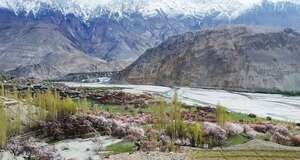 Blossom-Spring-season-in-Skardu-Baltistan-Pakistan