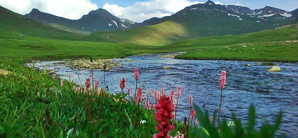 Wildlife Animal Conservation in Deosai National Paark