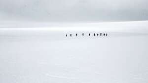snow lake Trek