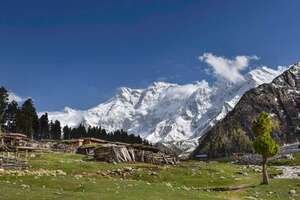 Fairy Meadows Trek