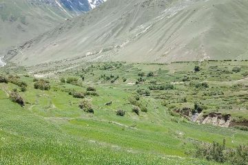 Thalay La Trek in Baltistan