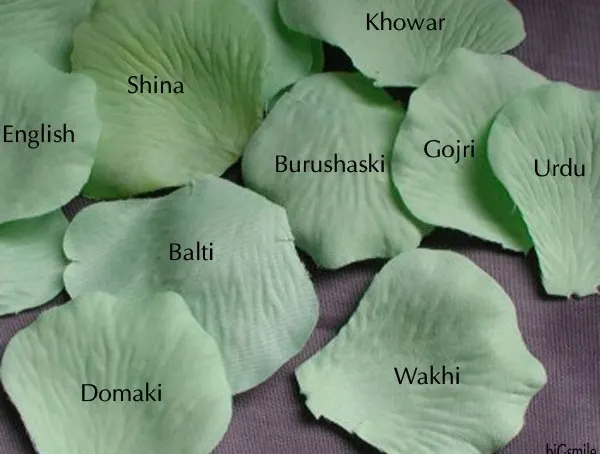 Different languages of Gilgit Baltistan